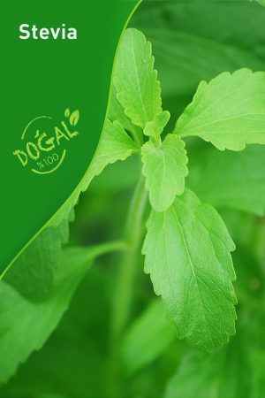 Stevia