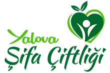 Yalova Şifa Çiftliği
